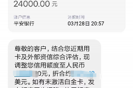 和县为什么选择专业追讨公司来处理您的债务纠纷？